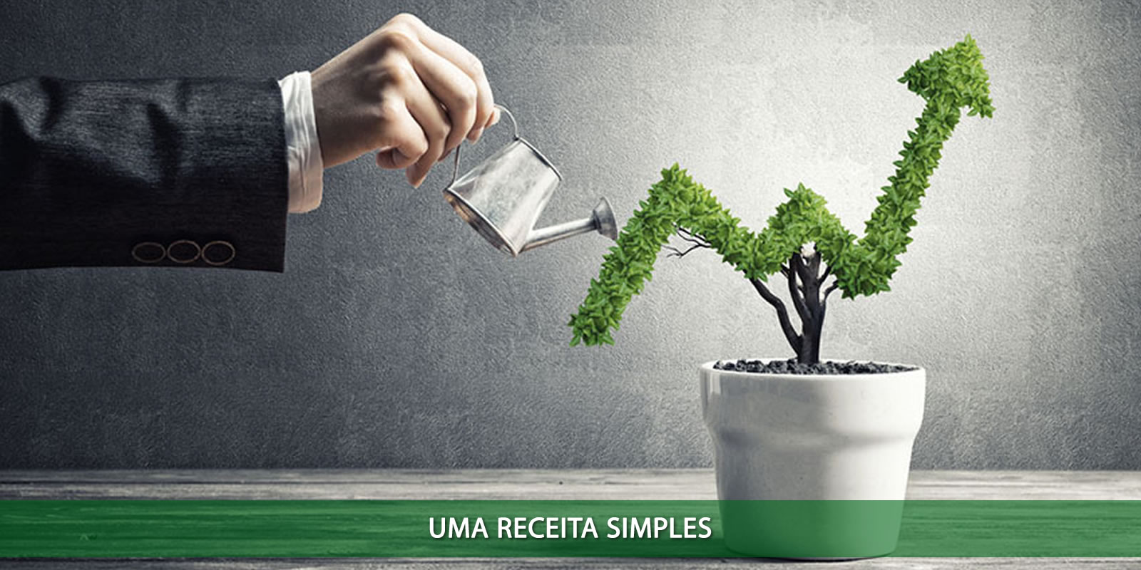Figura 4 - EMPREENDEDOR DE SUCESSO. O QUE É PRECISO TER E FAZER PARA VENCER O DESAFIO